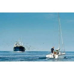 TORQEEDO Outboard Motors Cruise 4.0T Electric Outboard, Short Shaft, Tiller Steering -Deals boats Store 18019604 4 1500.07042021033041