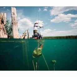 TORQEEDO Outboard Motors Ultralight Electric Kayak Trolling Motor, 320Wh Battery 12 TORQEEDO Outboard Motors Ultralight Electric Kayak Trolling Motor, 320Wh Battery -Deals boats Store 19533066 4 1500.12032019013015